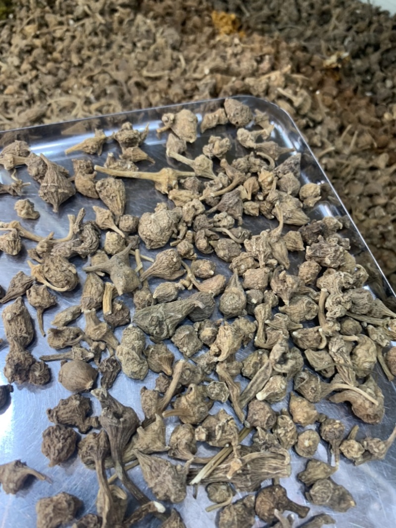 西藏野生三七批发市场实体，电商微商实体专供，一件代发