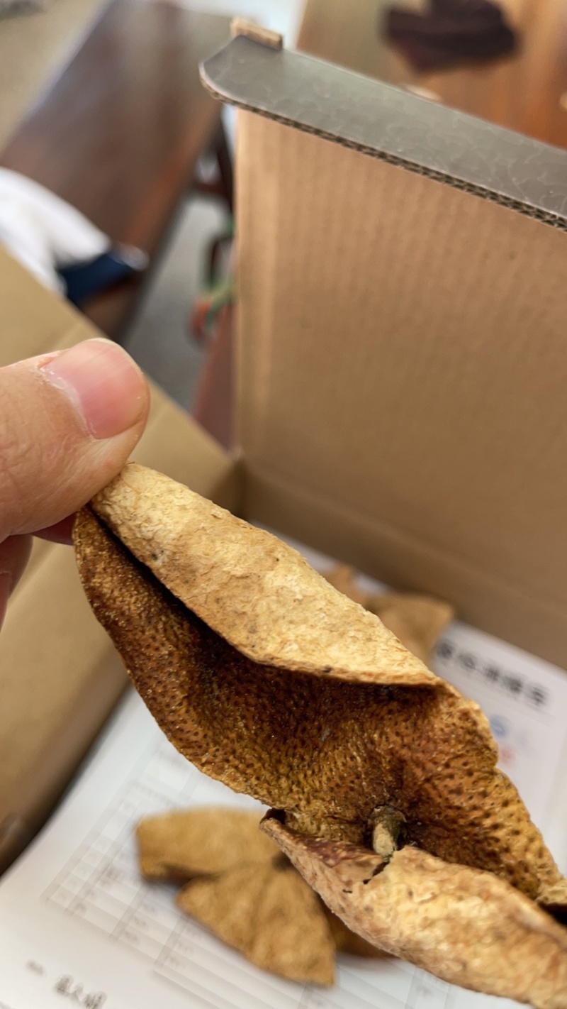 新宝堂10年陈皮