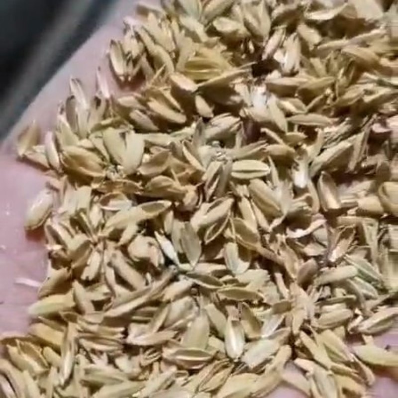 压缩稻壳，价格美丽，货源充足，诚信经营。