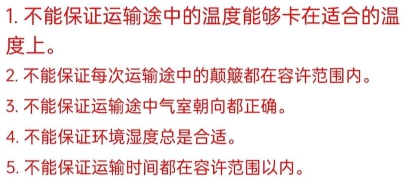 大体元宝鸽鸽蛋自繁自养一月一窝好养好喂，吃五谷杂粮