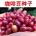 新采咖啡豆种子咖啡树种子日常饮用植物种子阳台观赏盆栽