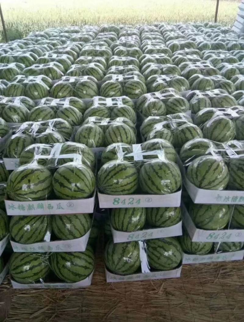 河南有籽8424美都保熟保甜代发全国