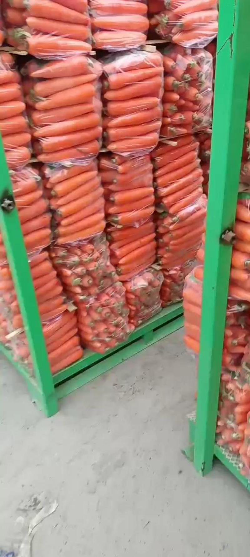 河南萝卜三红胡萝卜3以上水洗胡萝卜产地直发品质保障