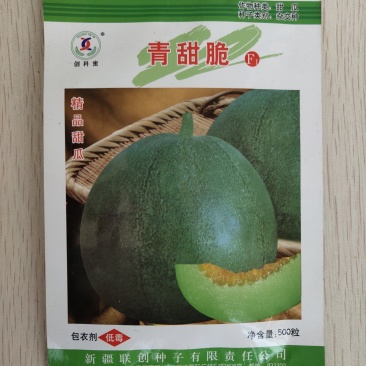 青甜脆甜瓜种子抗病绿皮绿肉含糖量高果重500克肉厚品质高
