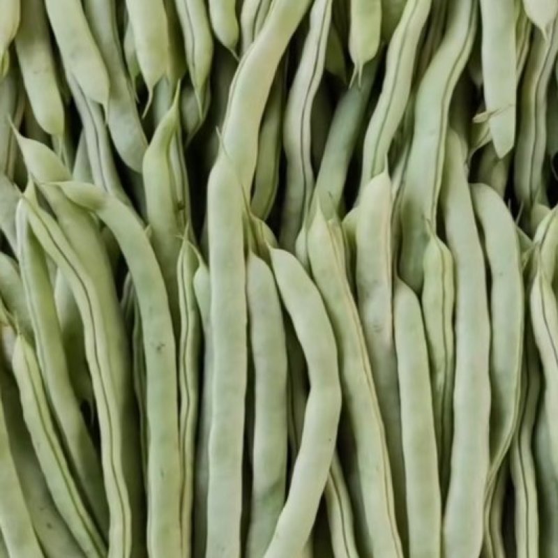 白条豆角