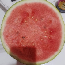 精品韭菜，香菜，西葫芦，西瓜，大量供应