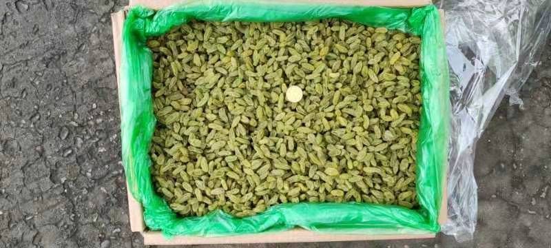 葡萄干