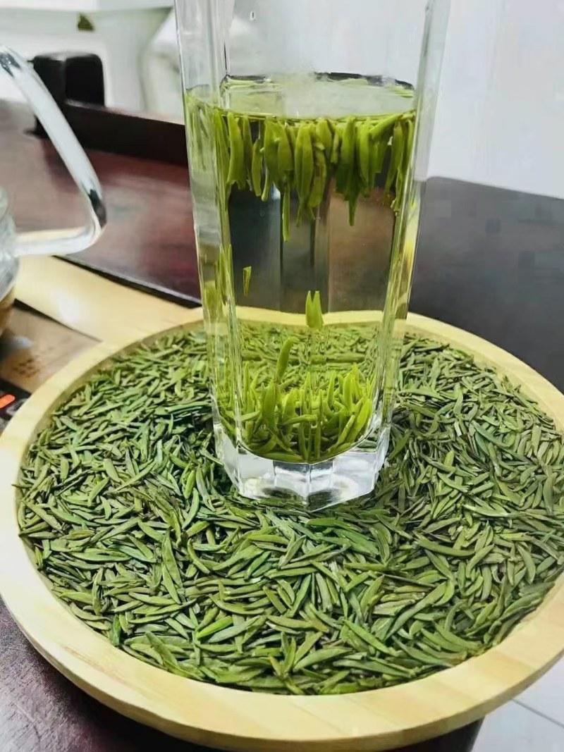 贵州茶，绿茶，明前福鼎翠芽，厂家直接供应