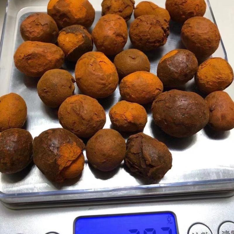 牛黄人工牛黄正宗天然牛胆黄粉牛结石正品保化验包