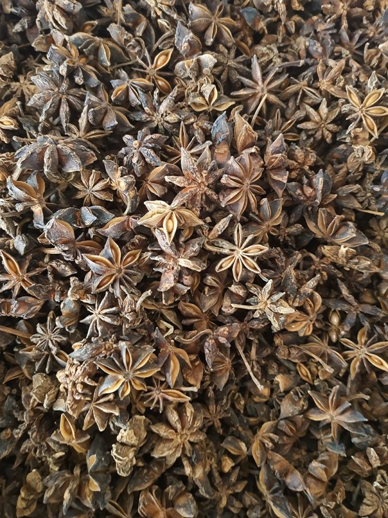 八角广西无硫八角大茴香全干八角大茴香地道中药材