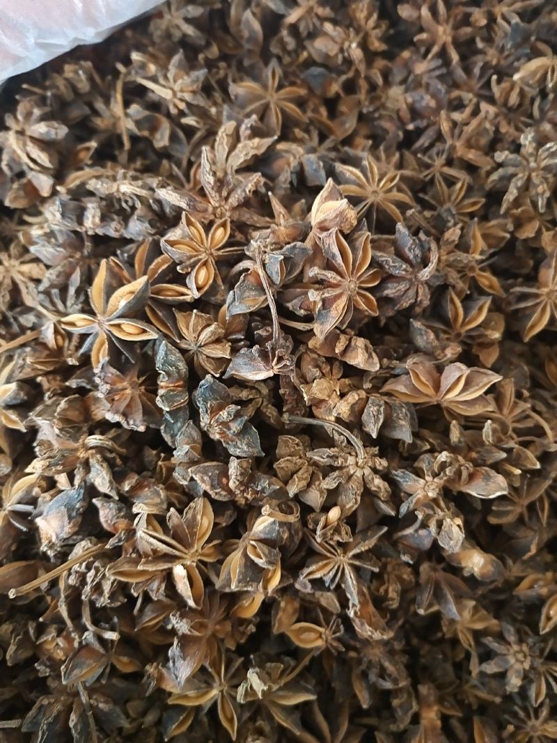 八角广西无硫八角大茴香全干八角大茴香地道中药材