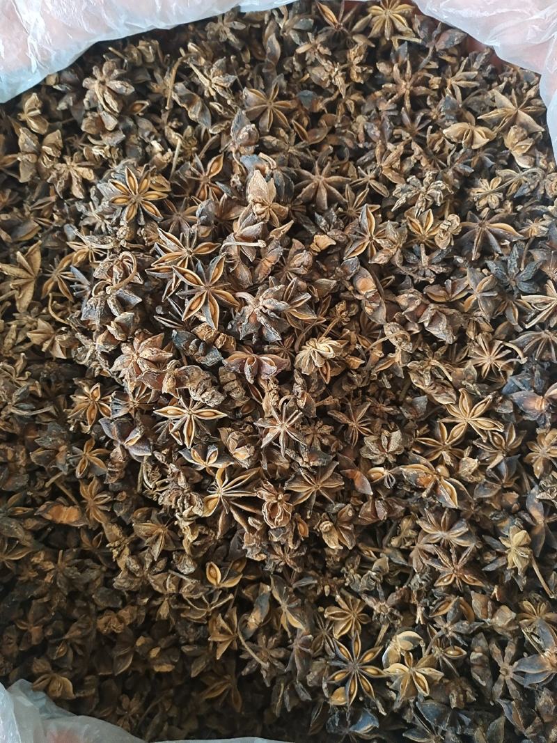 八角广西无硫八角大茴香全干八角大茴香地道中药材