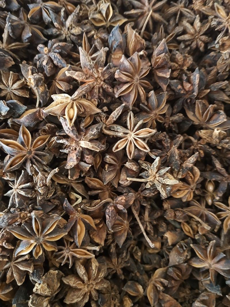 八角广西无硫八角大茴香全干八角大茴香地道中药材