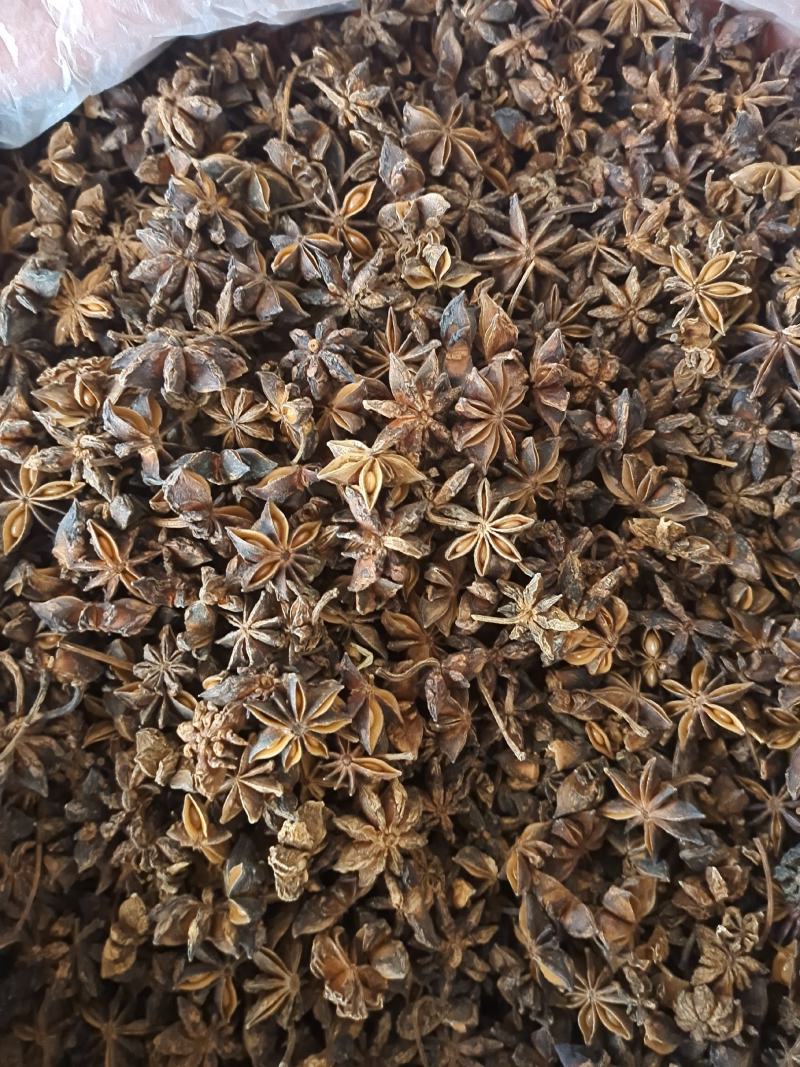 八角广西无硫八角大茴香全干八角大茴香地道中药材