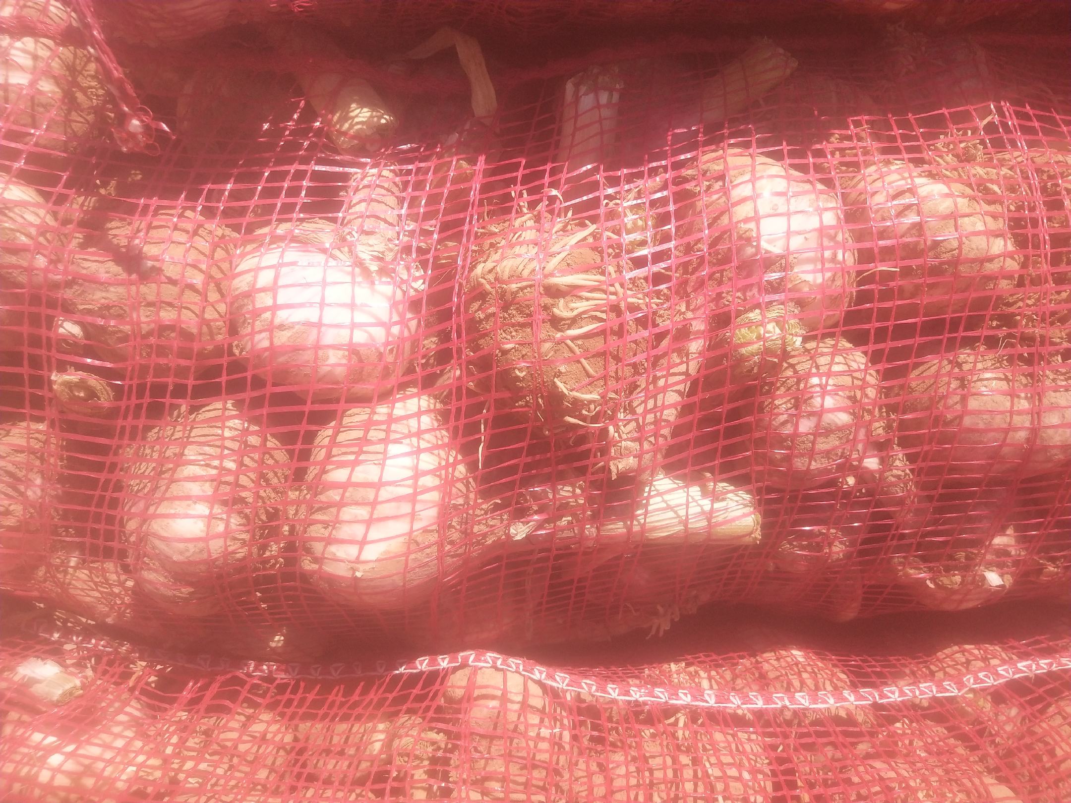 图中左侧为紫皮蒜,右侧为干制花椒,清晰展示两种农产品外观特征 紫皮蒜与花椒的实物对比图