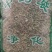 石上柏诚信经营干货中药材欢迎选购！量大从优