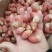 鸿吴虾特级龙虾尾