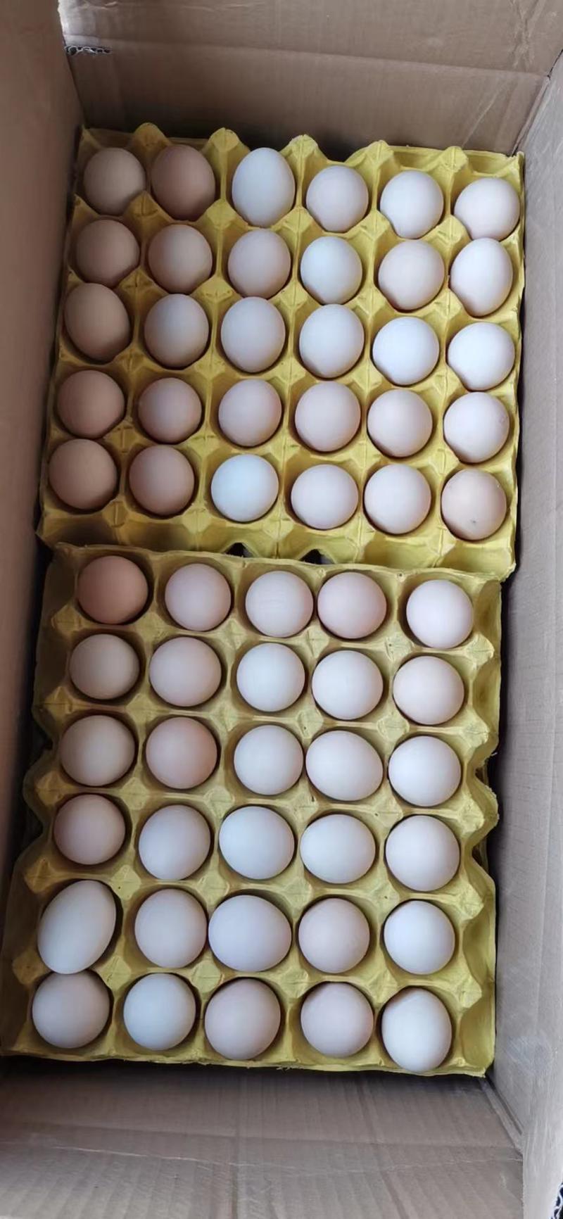 霍邱县土鸡蛋，新鲜出场各品种齐全
