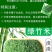 竹香米谷物米煮粥煮饭米淡竹叶与大米合成米包邮