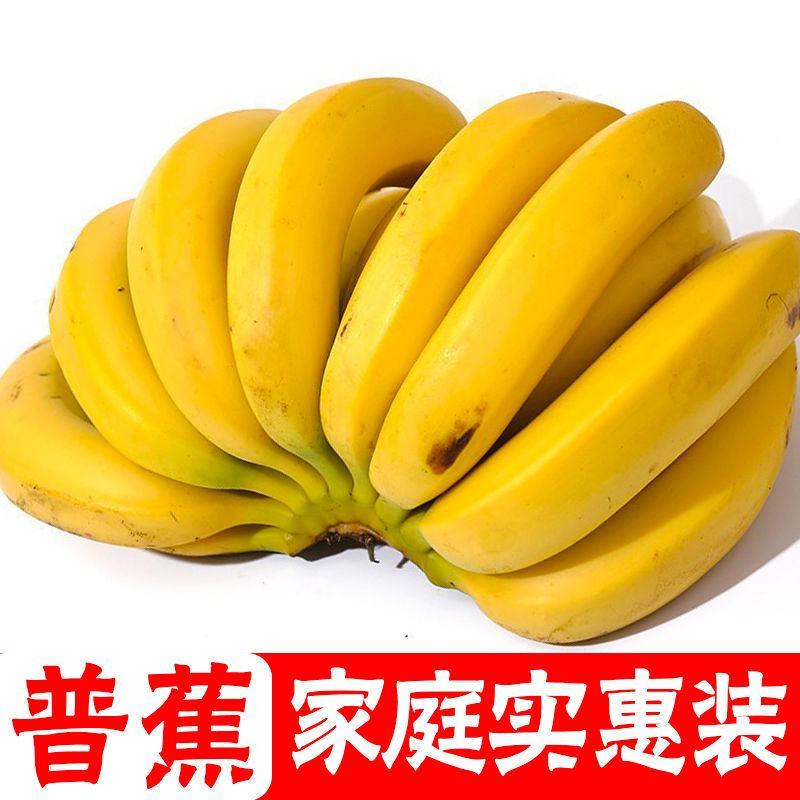 【香糯甜】云南高山香蕉新鲜水果整箱批发非小米蕉芭蕉10/