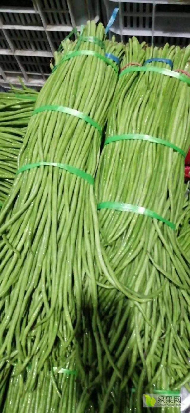 精品长豆角大量上市中，对接各大电商超市市场档口全国代发