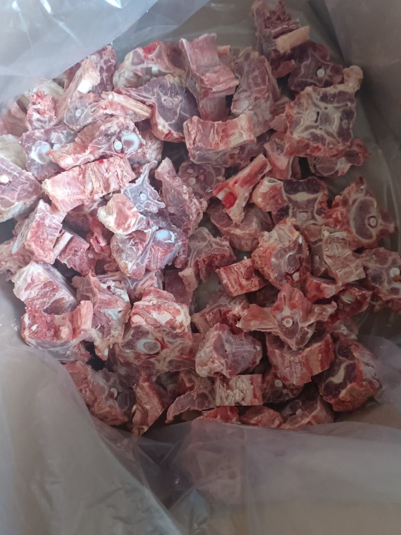 新鲜羊蝎子锯断4一斤羊脊骨可发样品全国发货