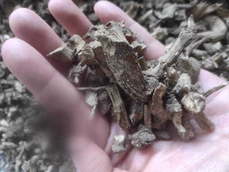 川牛膝苦牛膝四川产地牛膝