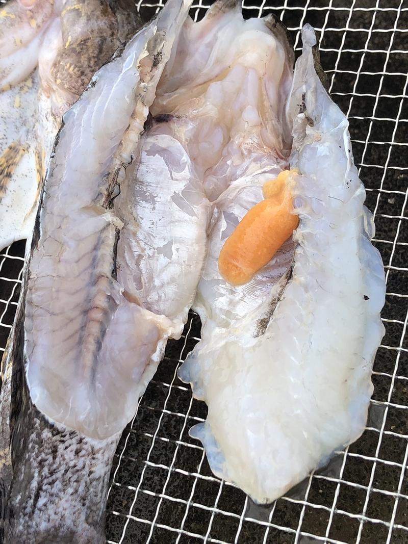 海南淡水笋壳鱼鱼干，海盐淡腌，新鲜腌制，