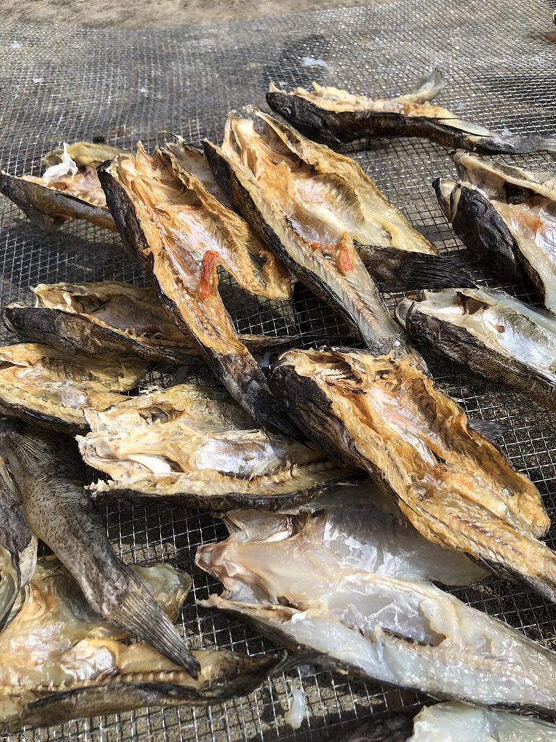 海南淡水笋壳鱼鱼干，海盐淡腌，新鲜腌制，