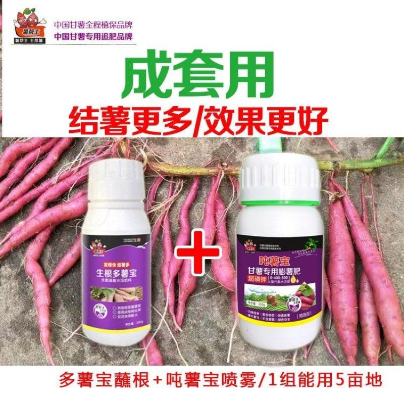 （生根多薯宝）红甘薯地瓜用超高磷钾膨大吨薯宝薯帮生根剂