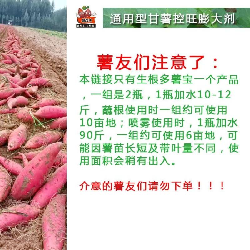 （生根多薯宝）红甘薯地瓜用超高磷钾膨大吨薯宝薯帮生根剂
