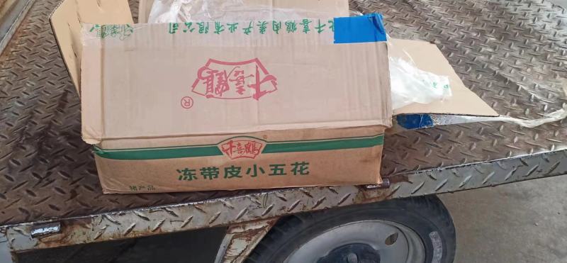 郑州莱聚商贸有限公司经营猪副产品带皮五花肉条