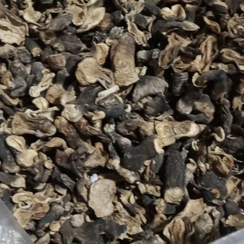自种干草菇