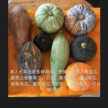 大量供应各大加工厂，板栗南瓜，黄金瓜，2到3斤以上，