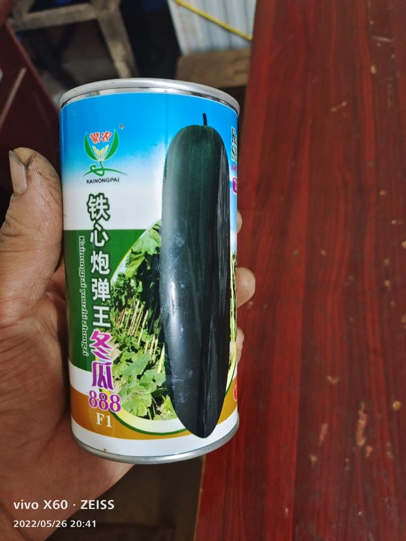 冬瓜苗，基地直供青皮冬瓜，精品种植育苗穴盘苗