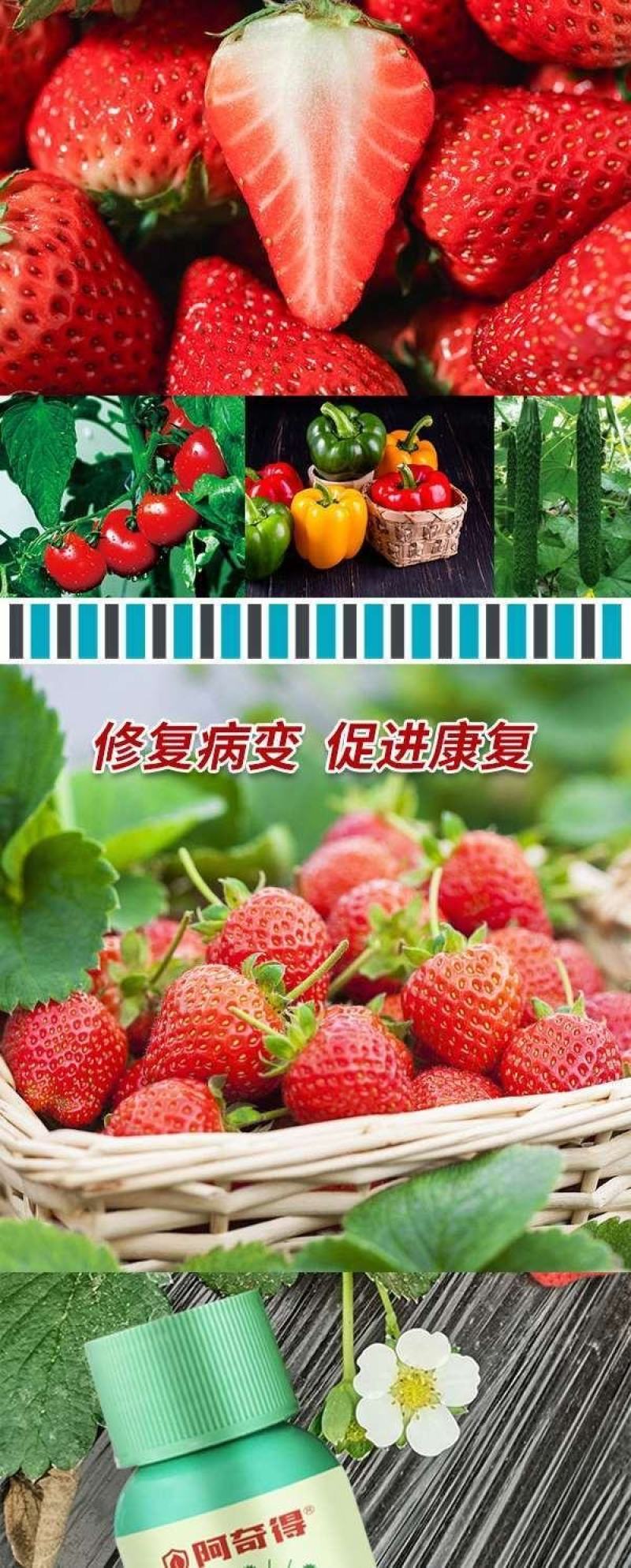 阿奇得杀菌剂绿迎叶面肥番茄草莓白粉病灰霉炭疽病角