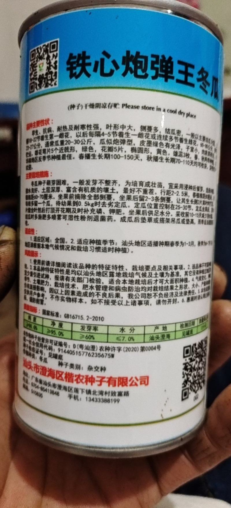 冬瓜苗，基地直供青皮冬瓜，精品种植育苗穴盘苗