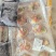 天鹅粉丝小蚌贝，新品，，有需要的老板联系我