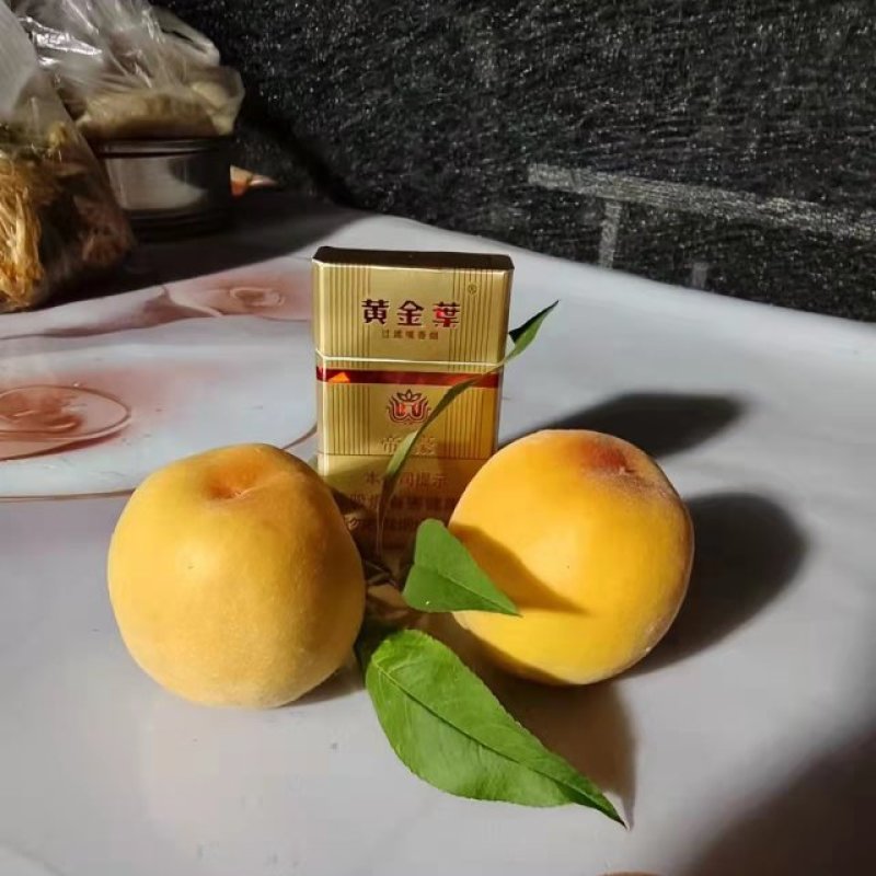 黄金密零号