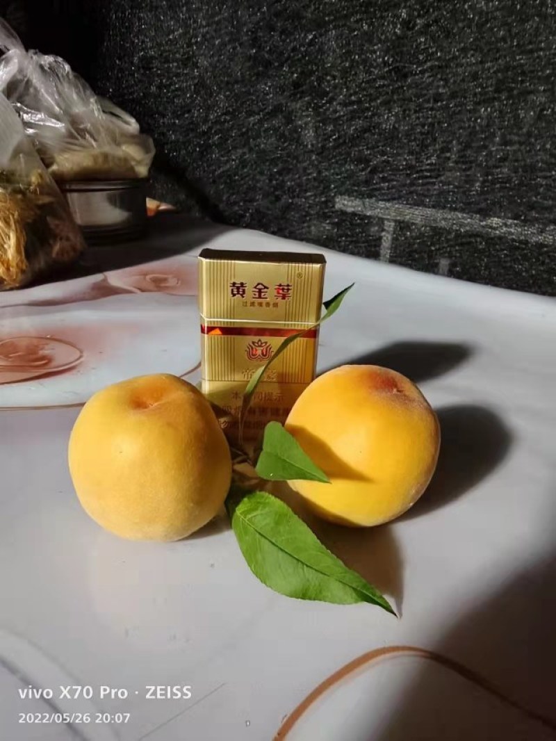 黄金密零号