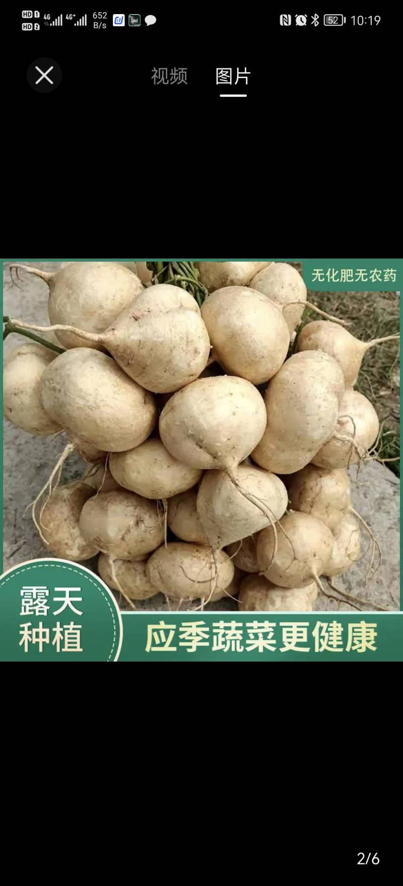 凉薯，生鲜