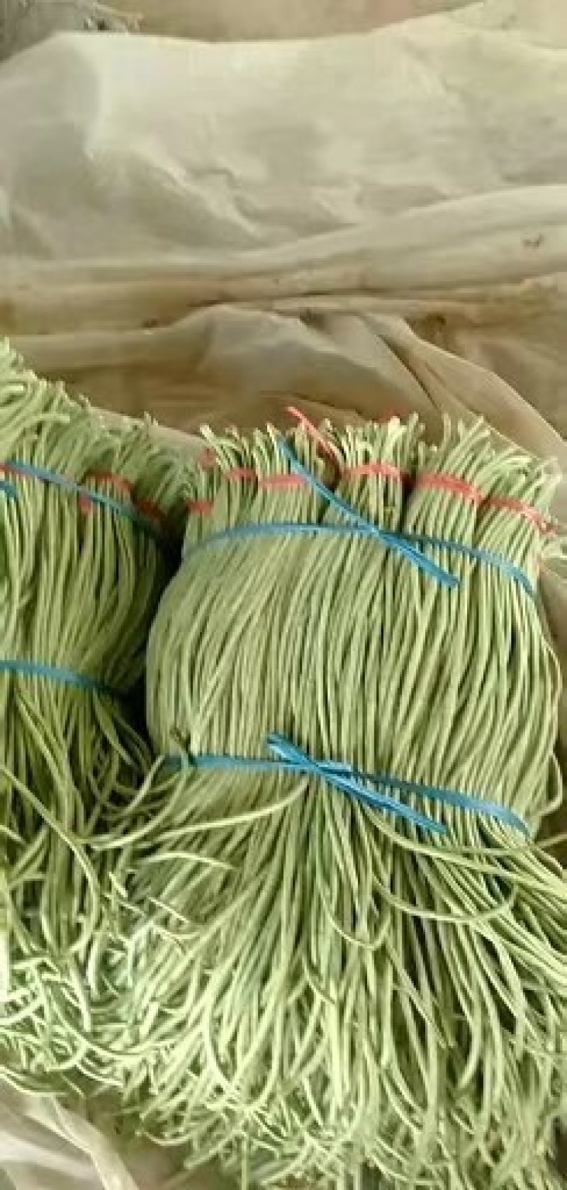 东瓜豆角黄瓜