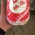 甘肃兰州高原夏菜