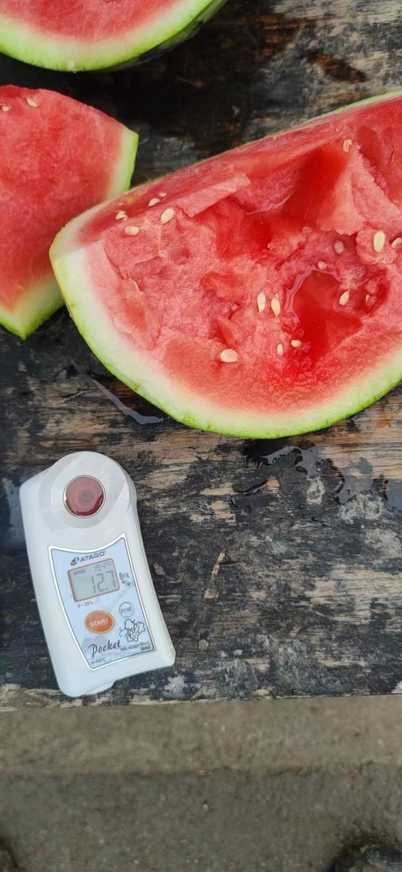 云南麒麟美都西瓜