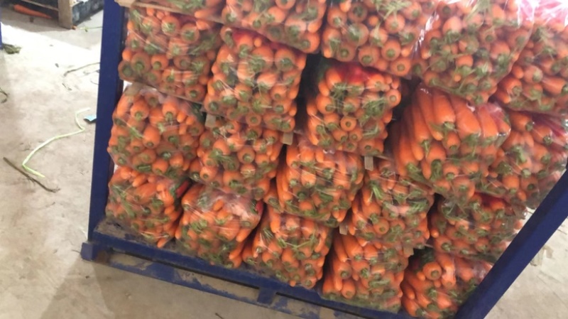 【推荐】精品水洗胡萝卜常年供应产地一手货源保质保量诚信