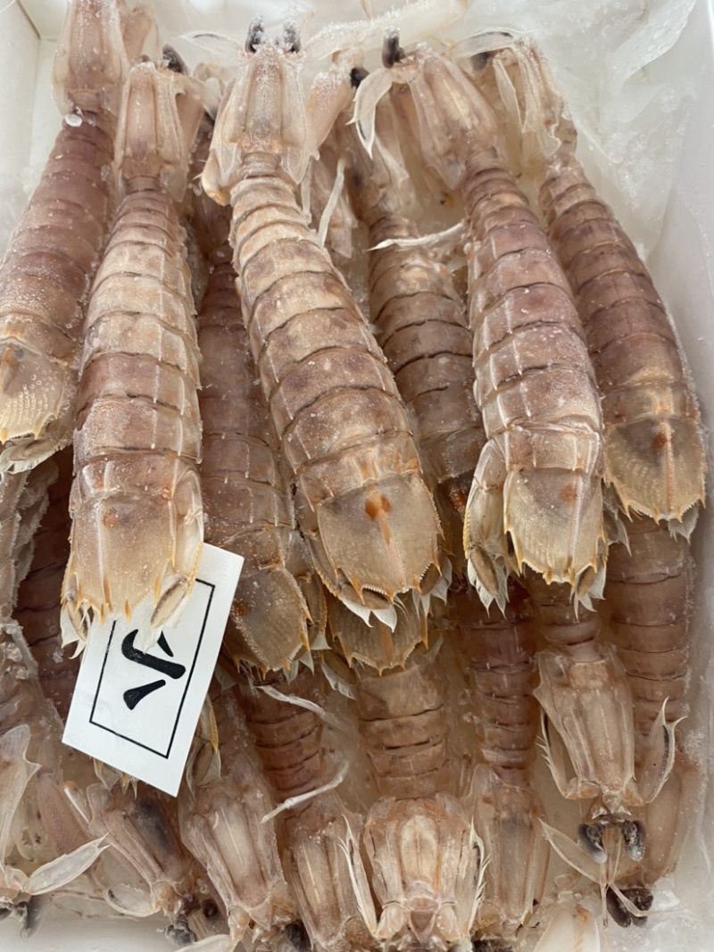 皮皮虾