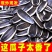 包邮）新货生瓜子批发炒熟原味五香向日葵花籽特大粒瓜子散装