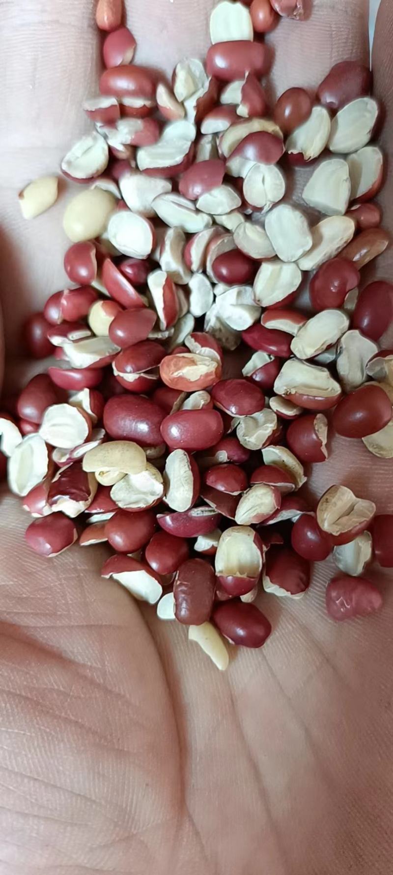 红小豆瓣现货批发红豆瓣红豆瓣粒磨粉五谷杂粮袋装50
