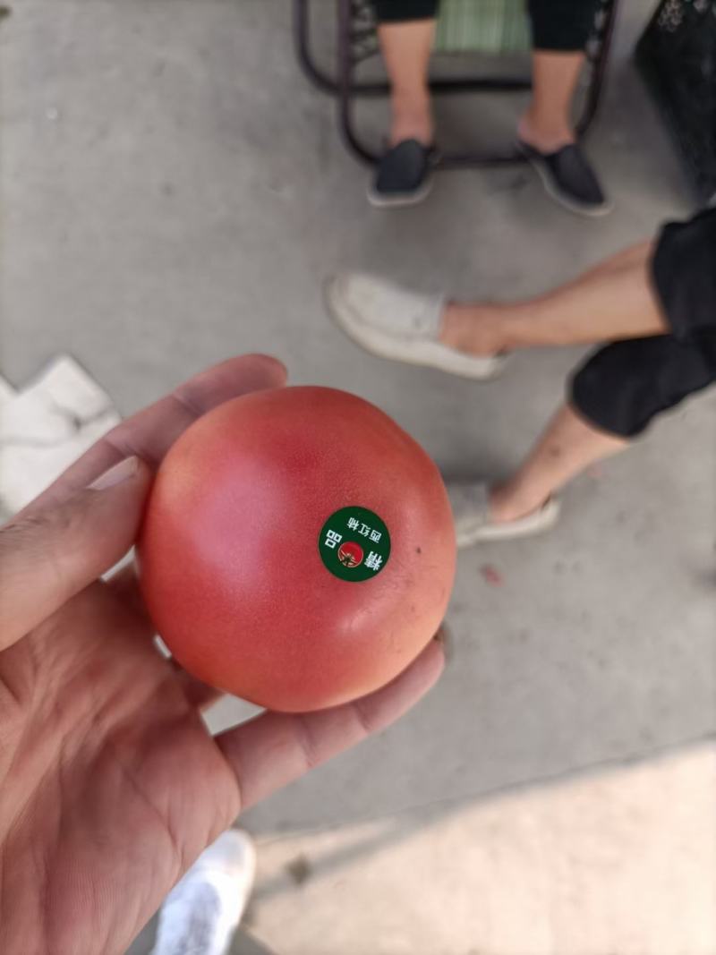 精品西红大量上市，货源充足，价格实惠，欢迎客商进店选购！