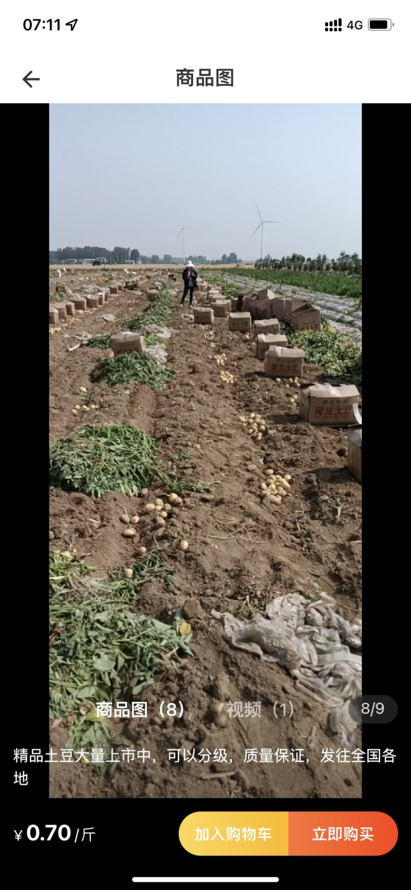 精品土豆，精品沃土，质量保证，欢迎联系